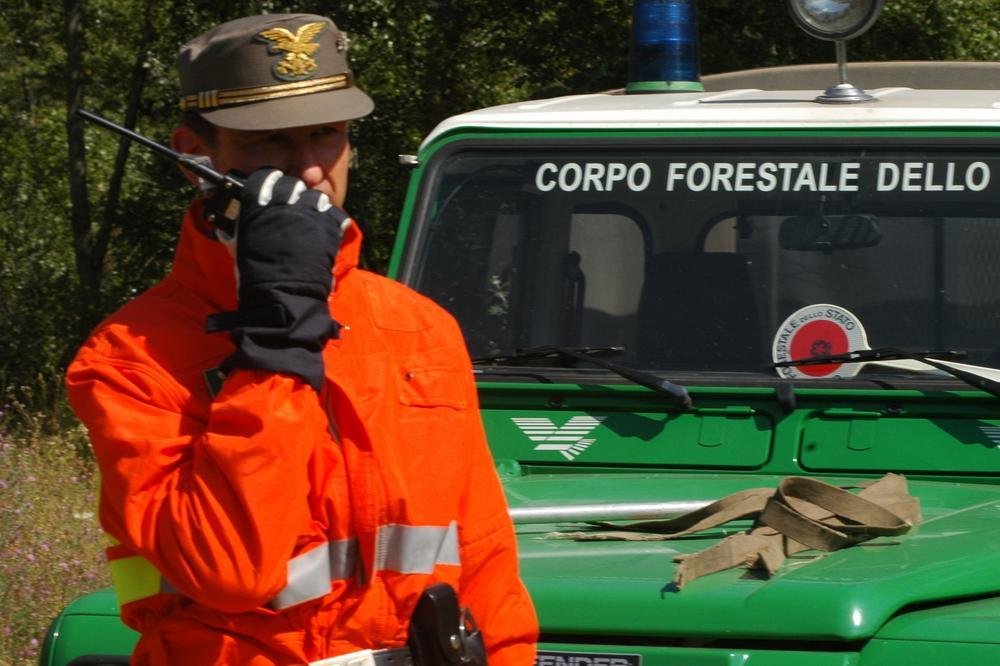 abbigliamento corpo forestale